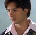 13598-Shahid-Kapoor