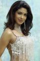 14917-Priyanka-Chopra