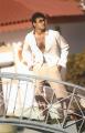 15270-Arya-Babbar