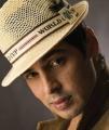 15783-Dino-Morea
