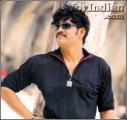 16035-Nagarjuna