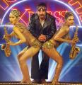 16336-Vijay-Raaz