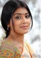 16886-Shriya-Saran