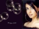 17074-Priya-Gill