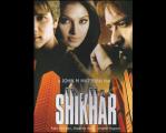 17313-Shikhar