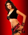 24522-Sherlyn-Chopra