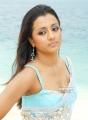 25931-trisha-krishnan