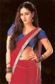 3020-Chameli