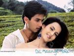 4289-Dil-Maange-More