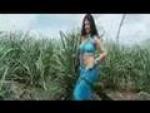 6650-Humko-Ishq-Ne-Mara
